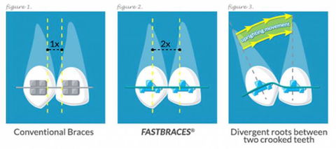 Honeysuckle Dental - Australian Directory 3