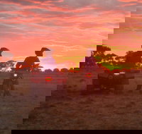 Corynnia Station - Australian Directory