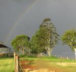 CBR Equine Cottage - Australian Directory