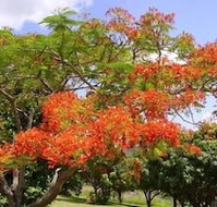 Eastwood Farm - Australian Directory
