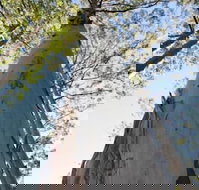 Salisbury Lodges - Australian Directory