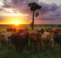 Myella Farm Stay - Australian Directory