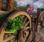 Bellum Hotel - Australian Directory