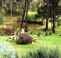 Countryside Connections Tranquil Studio - Australian Directory