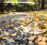 Cradle Forest Inn - Australian Directory