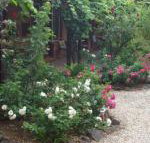 Maldons Eaglehawk Motel - Australian Directory