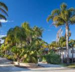 Mollymook Caravan Park - Australian Directory