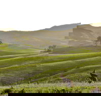 Ketchup's Bank Glamping - Australian Directory