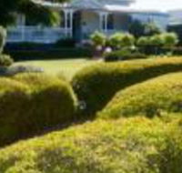 Whiskey Gully Wines - Australian Directory
