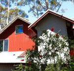 Pelicans at Denmark - Australian Directory
