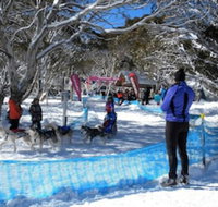 Cloud 9 Alpine Lodge - Australian Directory