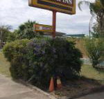 Golden West Motor Inn - Australian Directory