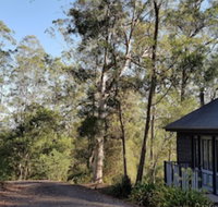 Barrington Tops Nest - Australian Directory