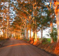 Innisfree Mountain Retreat - Australian Directory