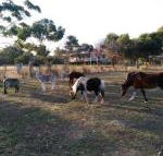 Heartland Hideaway - Australian Directory