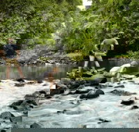 Sharlynn by the River - Australian Directory