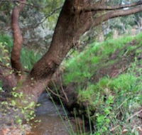 Longwood Retreat - Australian Directory