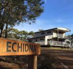 Echidna on Bruny - Australian Directory