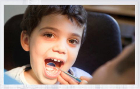 Dentist On Tweed - Australian Directory 1