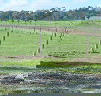 Yea Woodduck Cottage - Australian Directory