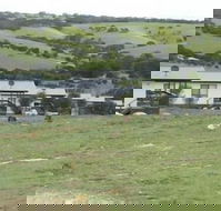 Waves and Wildlife - Australian Directory