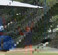 Blackwattle at Barrington Tops - Australian Directory