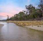 Coalmines Escape - Australian Directory