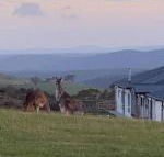 Rooks Edge - Australian Directory