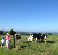 MilaViews - Australian Directory