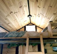 Big Tiny Dale View Tiny House - Australian Directory