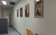 Shellharbour Veterinary Clinic - thumb 1