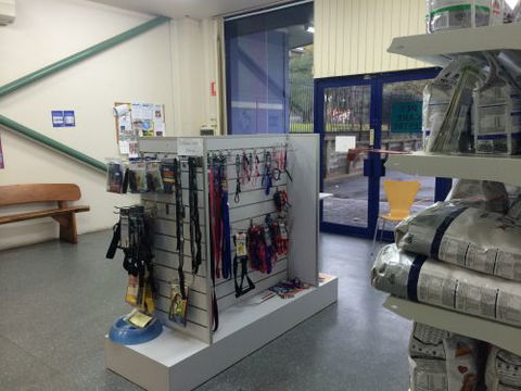 Shellharbour Veterinary Clinic - Australian Directory 4