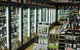 IGA Plus Liquor - thumb 3