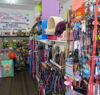 Doggy Days - Australian Directory