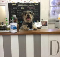 Doggie Barber - Australian Directory