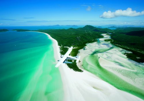 Flametree QLD Australian Directory