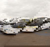 Buslink VIVO - Australian Directory