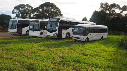 Alstonville Bus Service - Australian Directory 0
