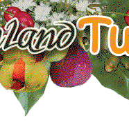Bushland Tukka Cafe  Catering - Australian Directory
