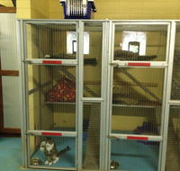 Purrs  Paws Pet ResortNT Agent For Ozpet Transport - Australian Directory