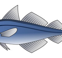 Burnett Heads Takeaway  Seafood - Australian Directory