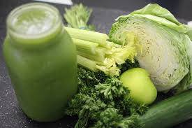 Wild Juice Bars - Australian Directory 2