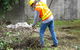Total Vegetation Management - thumb 0