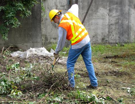 Total Vegetation Management - Australian Directory 0