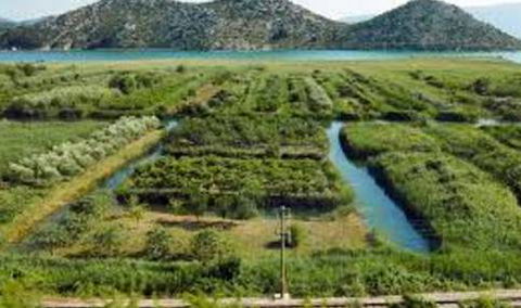 Total Vegetation Management - Australian Directory 1