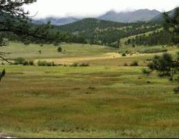 Total Vegetation Management - Australian Directory 3
