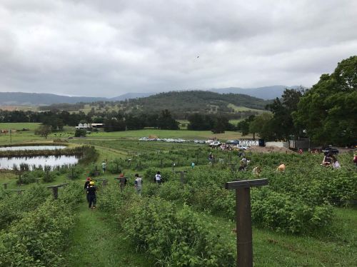 Marshall Mount NSW Australian Directory