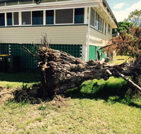 Weier Troy Tree Service - Australian Directory