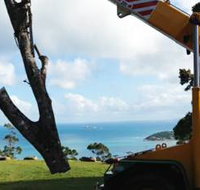 PW Tree Services - Australian Directory