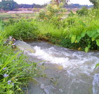 Taree Pumps  Irrigation - Australian Directory